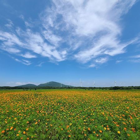 Brassica Flower Pension Seogwipo Exterior foto