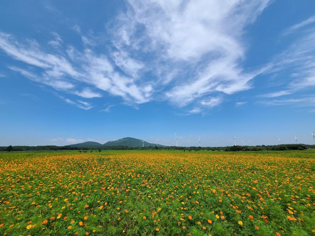 Brassica Flower Pension Seogwipo Exterior foto
