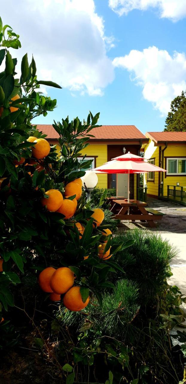Brassica Flower Pension Seogwipo Exterior foto