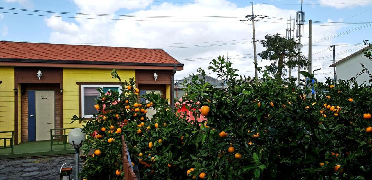 Brassica Flower Pension Seogwipo Exterior foto