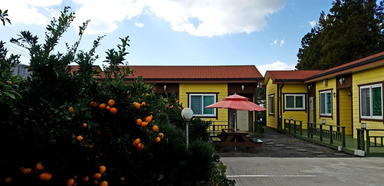 Brassica Flower Pension Seogwipo Exterior foto