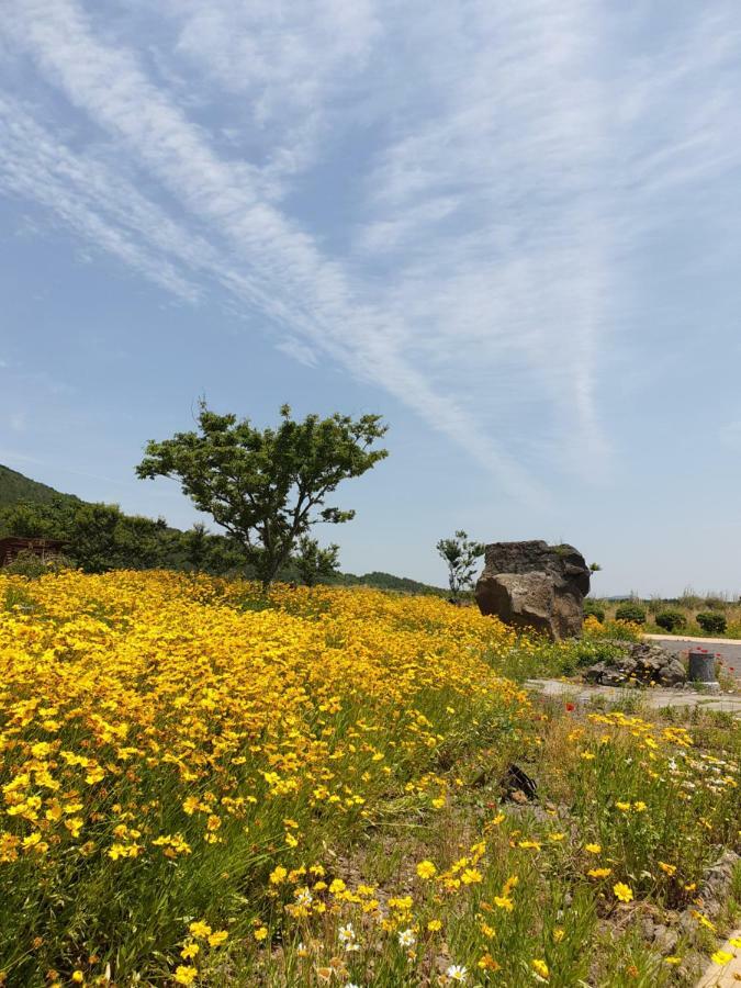Brassica Flower Pension Seogwipo Exterior foto